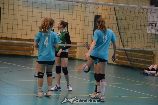 Turniej minisiatkówki dziewcząt [07.02.2015] - zdjęcie #29 - eOstroleka.pl
