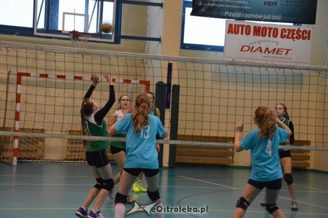 Turniej minisiatkówki dziewcząt [07.02.2015] - zdjęcie #31 - eOstroleka.pl