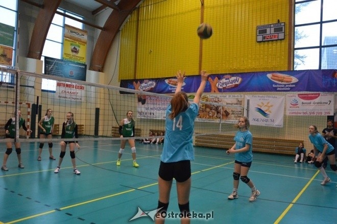 Turniej minisiatkówki dziewcząt [07.02.2015] - zdjęcie #44 - eOstroleka.pl
