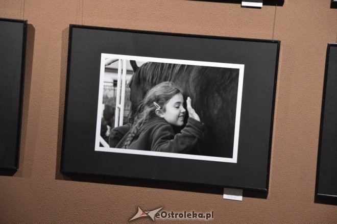 Wystawa fotograficzna OTF [13.02.2015] - zdjęcie #16 - eOstroleka.pl