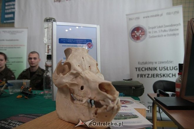 XIII Prezentacje Edukacyjne Ostrołęka 2015 [12.03.2015] - zdjęcie #13 - eOstroleka.pl