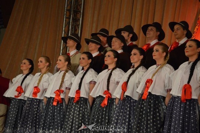 Koncert Zespołu Pieśni i Tańca ŚLĄSK [13.03.2015] - zdjęcie #70 - eOstroleka.pl