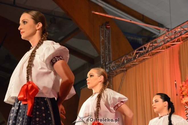 Koncert Zespołu Pieśni i Tańca ŚLĄSK [13.03.2015] - zdjęcie #65 - eOstroleka.pl