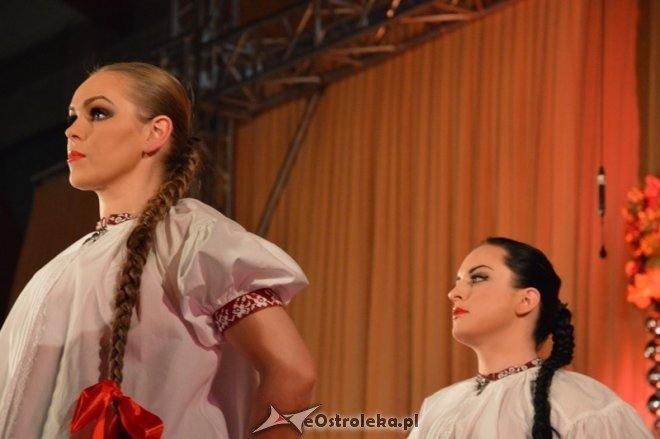 Koncert Zespołu Pieśni i Tańca ŚLĄSK [13.03.2015] - zdjęcie #64 - eOstroleka.pl