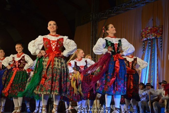 Koncert Zespołu Pieśni i Tańca ŚLĄSK [13.03.2015] - zdjęcie #8 - eOstroleka.pl