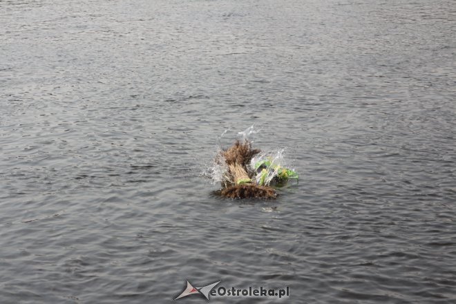 Wiosno, witaj w Ostrołęce [21.03.2015] - zdjęcie #14 - eOstroleka.pl