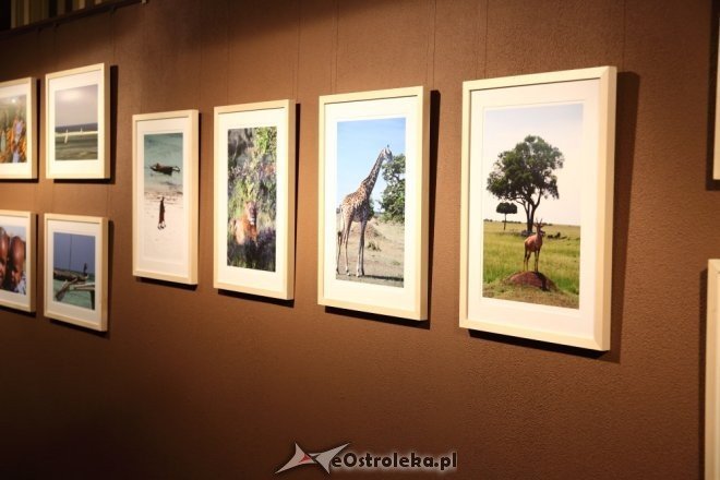 Wernisaż wystawy „Pod innym niebem. Kenia” [10.04.2015] - zdjęcie #12 - eOstroleka.pl