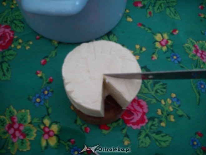 O produkcji sera podpuszczkowego z uczniami ostrołęckiej „czwórki” [16.04.2015] - zdjęcie #22 - eOstroleka.pl