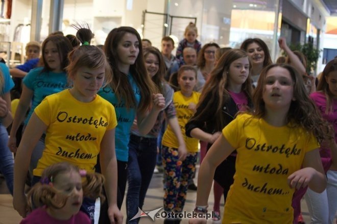 Warsztaty taneczne w Galerii Bursztynowej [19.04.2015] - zdjęcie #51 - eOstroleka.pl