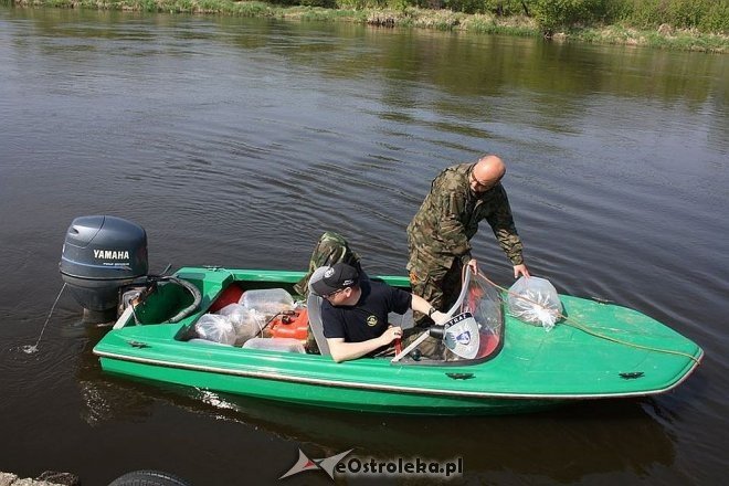 Wiosenne zarybianie szczupakiem: Do wód w regionie trafiło 115 tysięcy narybku [06.05.2015] - zdjęcie #2 - eOstroleka.pl