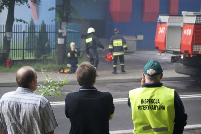 Pożar w JBB w Łysych - zdjęcie #10 - eOstroleka.pl