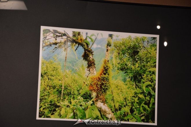 PERU BOSCO. DWA DOMY - wystawa fotograficzna [08.05.2015] - zdjęcie #32 - eOstroleka.pl
