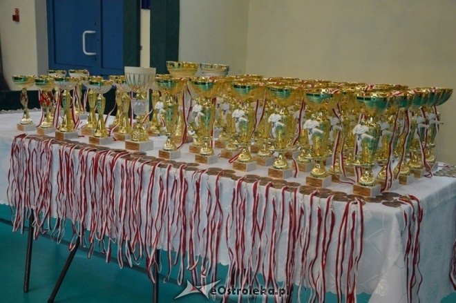 IV Mistrzostwa MKKK Shinkyokoushin [09.05.2015] - zdjęcie #6 - eOstroleka.pl