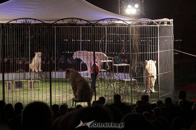 Cyrk Zalewski z najnowszym programem wystąpił w Ostrołęce [15.05.2015] - zdjęcie #7 - eOstroleka.pl