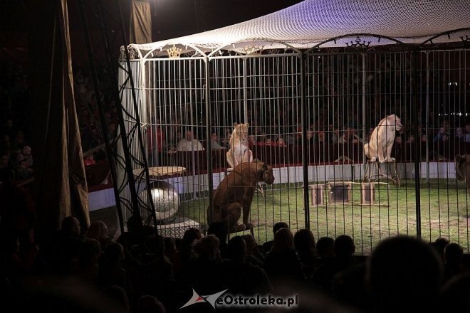 Cyrk Zalewski z najnowszym programem wystąpił w Ostrołęce [15.05.2015] - zdjęcie #6 - eOstroleka.pl