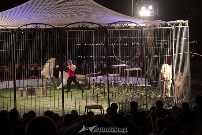 Cyrk Zalewski z najnowszym programem wystąpił w Ostrołęce [15.05.2015] - zdjęcie #4 - eOstroleka.pl