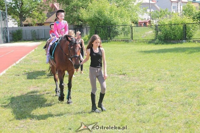 Prozdrowotny festyn rodzinny w Szkole Podstawowej nr 6 [28.05.2015] - zdjęcie #12 - eOstroleka.pl