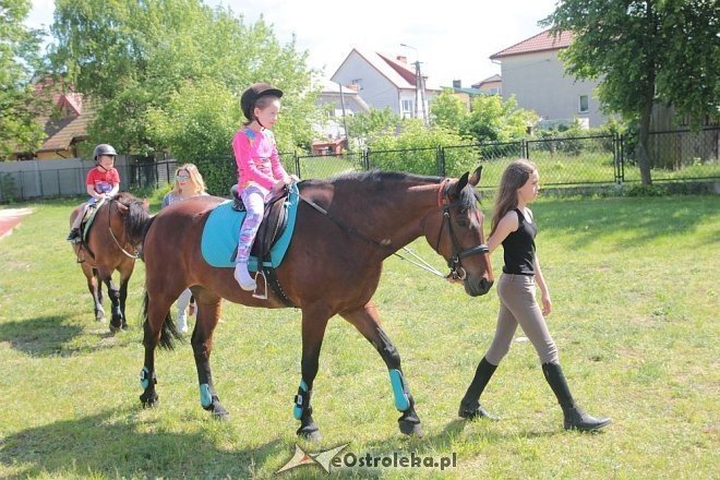 Prozdrowotny festyn rodzinny w Szkole Podstawowej nr 6 [28.05.2015] - zdjęcie #11 - eOstroleka.pl