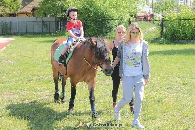 Prozdrowotny festyn rodzinny w Szkole Podstawowej nr 6 [28.05.2015] - zdjęcie #10 - eOstroleka.pl