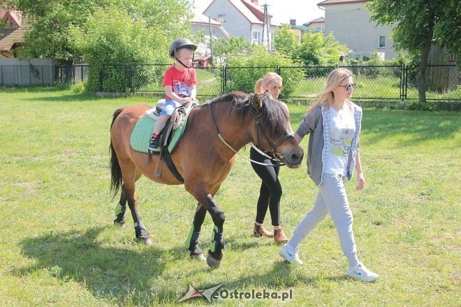 Prozdrowotny festyn rodzinny w Szkole Podstawowej nr 6 [28.05.2015] - zdjęcie #9 - eOstroleka.pl