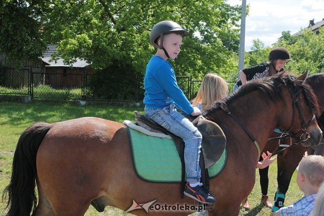 Prozdrowotny festyn rodzinny w Szkole Podstawowej nr 6 [28.05.2015] - zdjęcie #8 - eOstroleka.pl