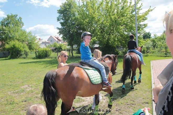Prozdrowotny festyn rodzinny w Szkole Podstawowej nr 6 [28.05.2015] - zdjęcie #7 - eOstroleka.pl