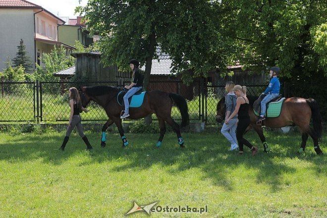 Prozdrowotny festyn rodzinny w Szkole Podstawowej nr 6 [28.05.2015] - zdjęcie #6 - eOstroleka.pl