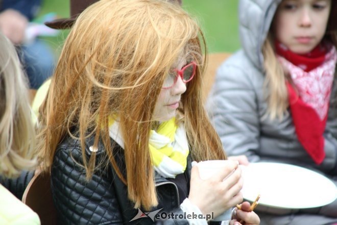 Międzynarodowy piknik rodzinny w Zespole Szkół STO [31.05.2015] - zdjęcie #11 - eOstroleka.pl
