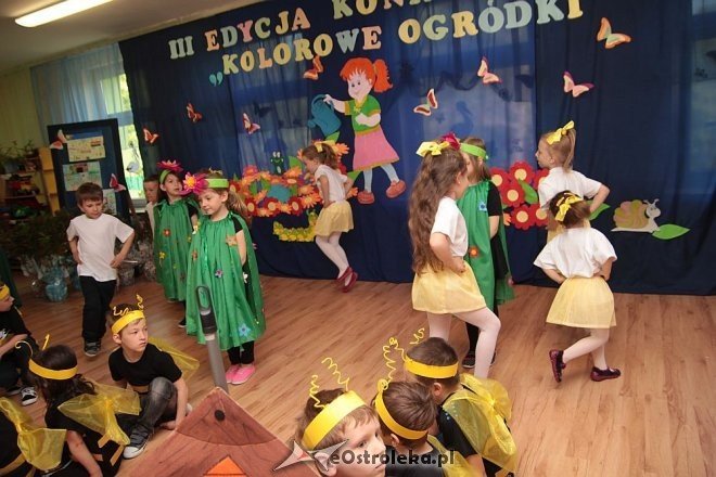 Podsumowanie konkursu „Kolorowe Ogródki” w Przedszkolu Miejskim nr 5 [02.06.2015] - zdjęcie #37 - eOstroleka.pl