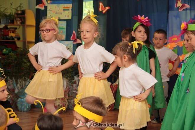 Podsumowanie konkursu „Kolorowe Ogródki” w Przedszkolu Miejskim nr 5 [02.06.2015] - zdjęcie #39 - eOstroleka.pl