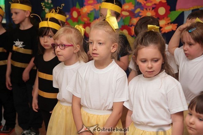 Podsumowanie konkursu „Kolorowe Ogródki” w Przedszkolu Miejskim nr 5 [02.06.2015] - zdjęcie #78 - eOstroleka.pl