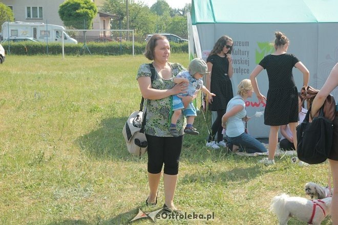 Ostrołęka: Piknik rodzinny „Przybij piątkę z psem” [13.06.2015] - zdjęcie #3 - eOstroleka.pl