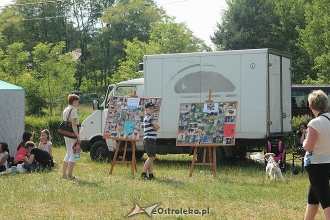 Ostrołęka: Piknik rodzinny „Przybij piątkę z psem” [13.06.2015] - zdjęcie #32 - eOstroleka.pl
