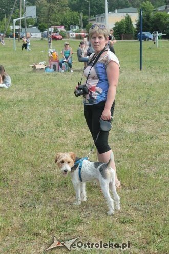 Ostrołęka: Piknik rodzinny „Przybij piątkę z psem” [13.06.2015] - zdjęcie #13 - eOstroleka.pl