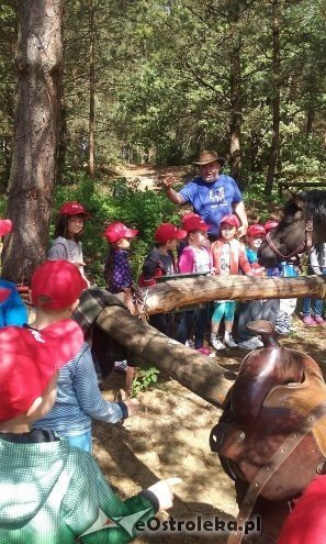 Ostrołęka: „Słoneczka” z miejskiej dziesiątki w stadninie Tabun [24.06.2015] - zdjęcie #144 - eOstroleka.pl