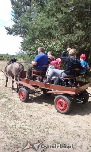 Ostrołęka: „Słoneczka” z miejskiej dziesiątki w stadninie Tabun [24.06.2015] - zdjęcie #143 - eOstroleka.pl