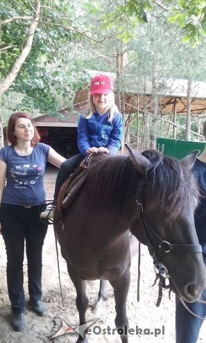 Ostrołęka: „Słoneczka” z miejskiej dziesiątki w stadninie Tabun [24.06.2015] - zdjęcie #142 - eOstroleka.pl