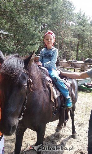 Ostrołęka: „Słoneczka” z miejskiej dziesiątki w stadninie Tabun [24.06.2015] - zdjęcie #141 - eOstroleka.pl