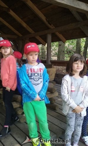 Ostrołęka: „Słoneczka” z miejskiej dziesiątki w stadninie Tabun [24.06.2015] - zdjęcie #140 - eOstroleka.pl