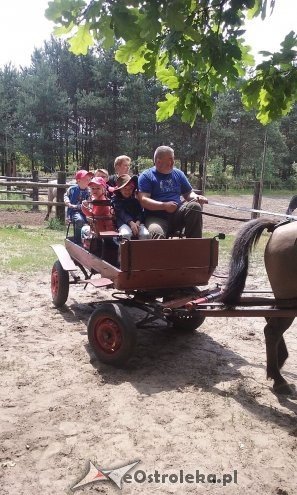 Ostrołęka: „Słoneczka” z miejskiej dziesiątki w stadninie Tabun [24.06.2015] - zdjęcie #138 - eOstroleka.pl