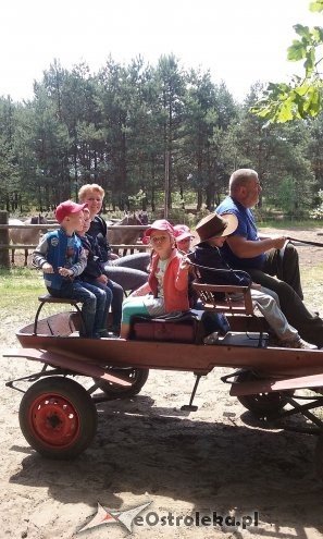 Ostrołęka: „Słoneczka” z miejskiej dziesiątki w stadninie Tabun [24.06.2015] - zdjęcie #137 - eOstroleka.pl