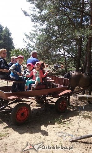 Ostrołęka: „Słoneczka” z miejskiej dziesiątki w stadninie Tabun [24.06.2015] - zdjęcie #136 - eOstroleka.pl