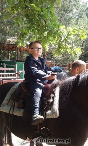 Ostrołęka: „Słoneczka” z miejskiej dziesiątki w stadninie Tabun [24.06.2015] - zdjęcie #135 - eOstroleka.pl