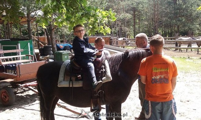 Ostrołęka: „Słoneczka” z miejskiej dziesiątki w stadninie Tabun [24.06.2015] - zdjęcie #134 - eOstroleka.pl