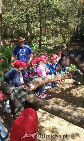 Ostrołęka: „Słoneczka” z miejskiej dziesiątki w stadninie Tabun [24.06.2015] - zdjęcie #133 - eOstroleka.pl