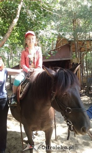 Ostrołęka: „Słoneczka” z miejskiej dziesiątki w stadninie Tabun [24.06.2015] - zdjęcie #132 - eOstroleka.pl