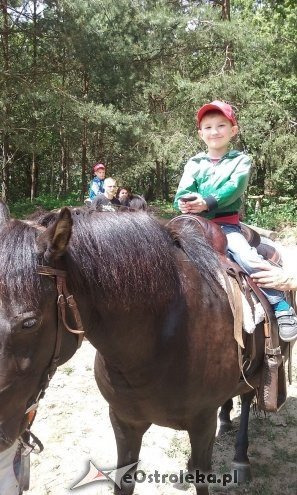 Ostrołęka: „Słoneczka” z miejskiej dziesiątki w stadninie Tabun [24.06.2015] - zdjęcie #131 - eOstroleka.pl