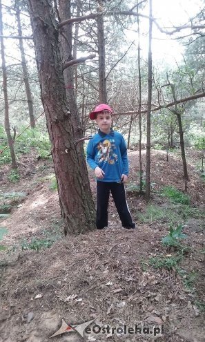 Ostrołęka: „Słoneczka” z miejskiej dziesiątki w stadninie Tabun [24.06.2015] - zdjęcie #124 - eOstroleka.pl