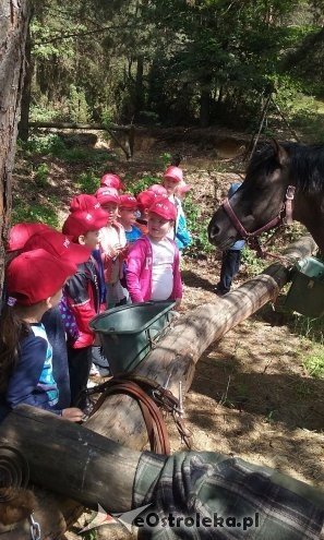 Ostrołęka: „Słoneczka” z miejskiej dziesiątki w stadninie Tabun [24.06.2015] - zdjęcie #122 - eOstroleka.pl