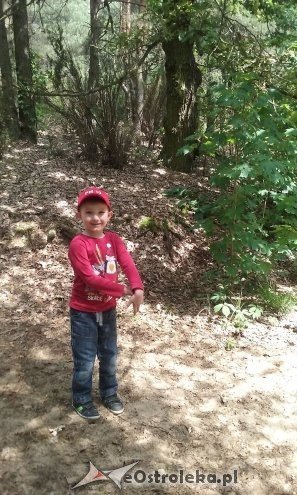 Ostrołęka: „Słoneczka” z miejskiej dziesiątki w stadninie Tabun [24.06.2015] - zdjęcie #121 - eOstroleka.pl